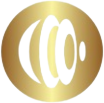 SEO Audit & Analysis